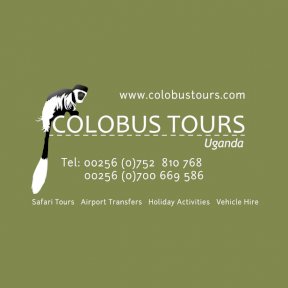 Colobus tours