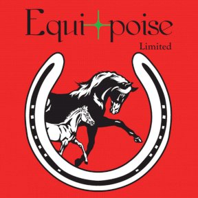 Equi-poise team in their brande